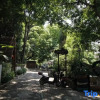 Отель Baise In the Water Art Homestay, фото 7