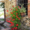 Отель Le Gusciane, фото 7