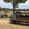 Отель Zoofari Lodge at Taronga Western Plains, фото 21