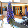 Отель Apartamento Vista, фото 1