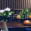 Отель Kuanshe Zen Hostel, фото 14