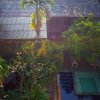 Отель OYO 988 Good Morning Chiang Mai Tropical Inn, фото 8