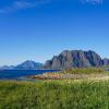 Отель Lofoten Beach Glamping, фото 8