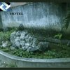 Отель Thanh Tin Hotel Dalat, фото 6