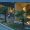 Отель Jingdezhen Qizhu Fengguo'er Art Museum Hotel, фото 15