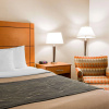 Отель Comfort Inn Metro Airport, фото 6