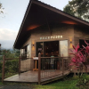 Отель Yellow Tree Suites, фото 19