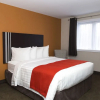 Отель Robin Hood and Suites, фото 3