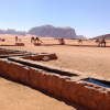 Отель Wadi Rum Classic Camp, фото 14
