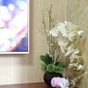 Отель Towo Holiday Hotel (Taishan Hongmen), фото 8
