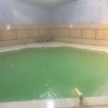 Отель Mehmetoğulları Thermal Resort, фото 6