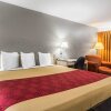 Отель Econo Lodge Dallas Airport North, фото 3