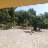 Отель Apartment With One Bedroom In Roquefort Les Pins With Pool Access Terrace And Wifi, фото 13