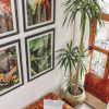 Отель Amarla Boutique Hotel Casco Viejo - Adults Only, фото 38