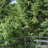 Отель Chalet Croatia, фото 3