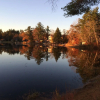 Отель The Cottages at Harvey Lake, фото 9