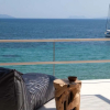 Отель Villa Kastos-Beachfront Villa, фото 21