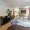 Отель Red Roof Inn Orlando South - Florida Mall, фото 6