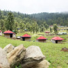 Отель Chopta Mount Holiday Camp & Resort, фото 10