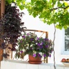 Отель Old Bridge Terrace Apartment, фото 14
