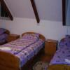 Отель Pensiunea Anidor, фото 20
