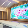 Отель Zhongshan Quanlin Daray Sports Hotel, фото 9
