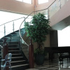 Отель Anfa Royale Hotel, фото 13