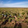 Отель Sentrim Tsavo Lodge, фото 9