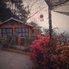 Отель Posada Fuego Nuevo, фото 30