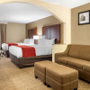 Отель Comfort Inn & Suites Macon North I-75, фото 3