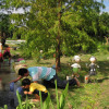 Отель Fairy Story Village Organic Farm B&B, фото 8