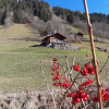 Отель Karis Sch r Lenk in Lenk, фото 17