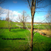 Отель Heathcote Haven Bed & Breakfast, фото 10