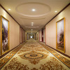 Отель Vienna Hotel Chaozhou Plaza Branch, фото 6