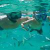 Отель Occidental Flamenco Beach, фото 4