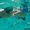 Отель Occidental Flamenco Beach, фото 3