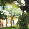 Отель Ekanake Place, фото 11