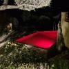 Отель Villa Sognu, фото 34