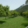 Отель Villa Passarelli, фото 4