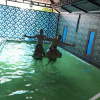 Отель Palm Rivera - Hostel, фото 33