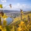 Отель Rieslingquartier - Mosel Wein Hotel, фото 1