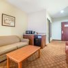 Отель Comfort Inn & Suites Las Vegas - Nellis, фото 30