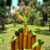Отель Village Temanoha, фото 1