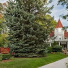 Отель Kingsley House Bed & Breakfast, фото 30