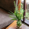 Отель Cat Homestay, фото 1
