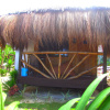 Отель Siargao Tropic Hostel, фото 18