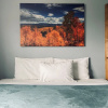 Отель Golden Nugget Cripple Creek, фото 21