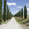 Отель Agriturismo Il Casino, фото 2