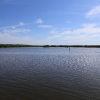 Отель Ocean Harbor 402A, фото 16