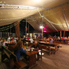 Отель Cape Tribulation Beach House, фото 12